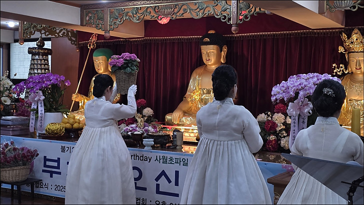 법요식11